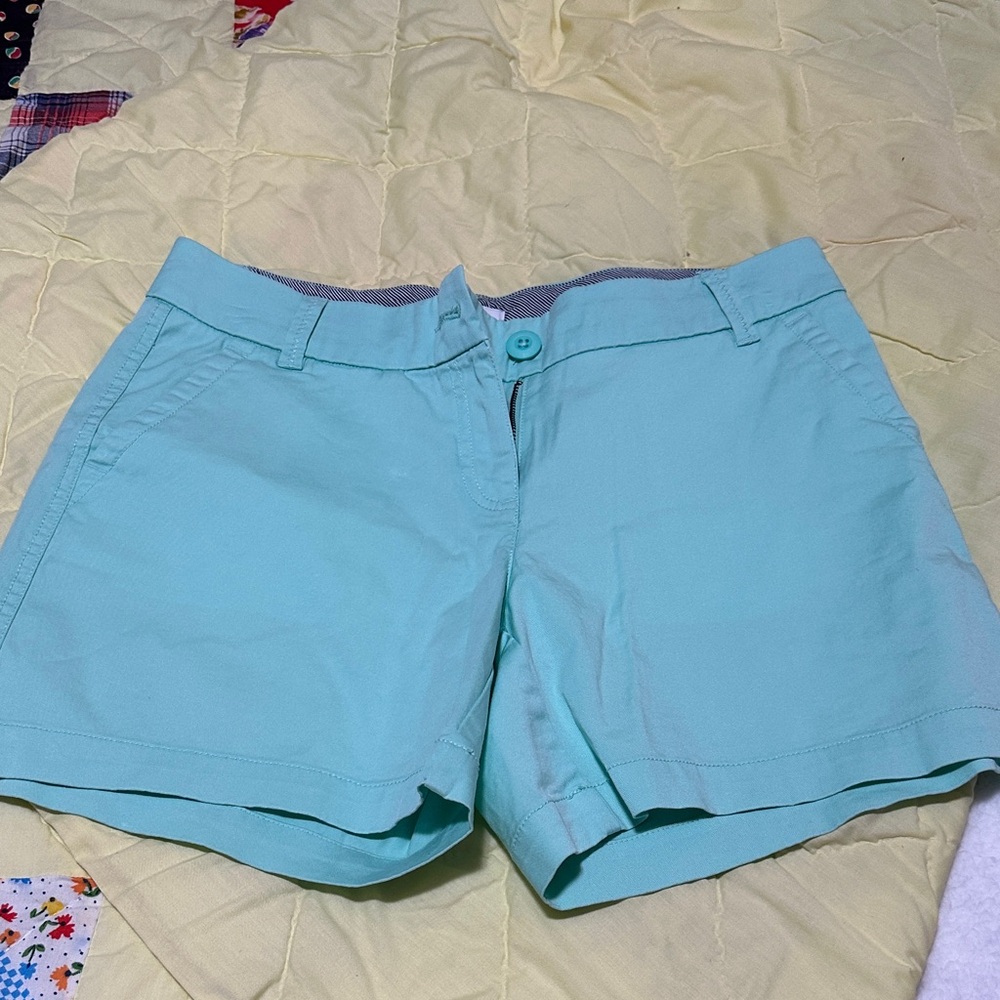 Women's Mint Shorts size 2